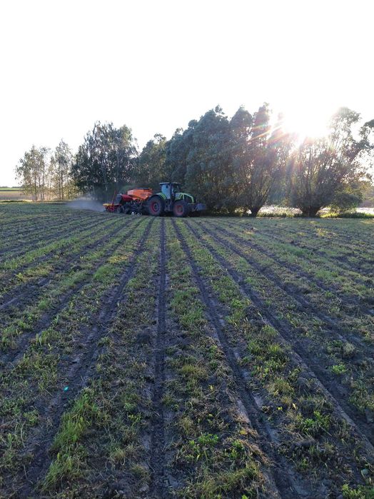 Siew pasowy rzepaku, zbóż, kukurydzy, strip-till uprawa pasowa