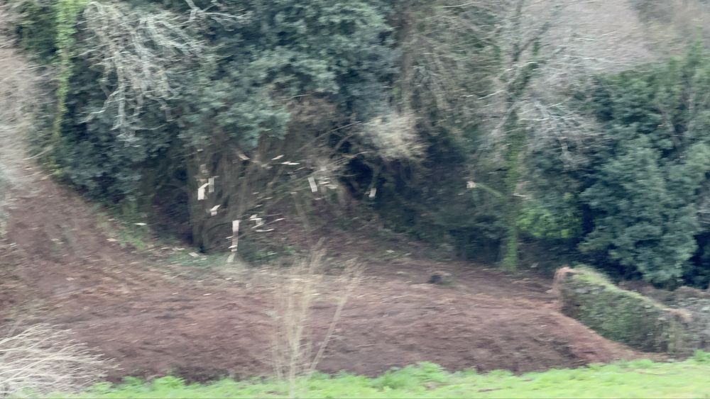 Limpezas Agricolas e Florestais