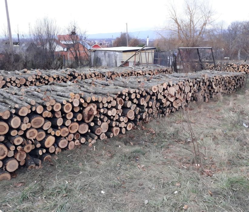 Дрова твердих порід з доставкою. Дуб вільха береза. Чесний об’єм, щільна укладка ряд до ряду. Телефонуйте! 2/7/10/65 м3