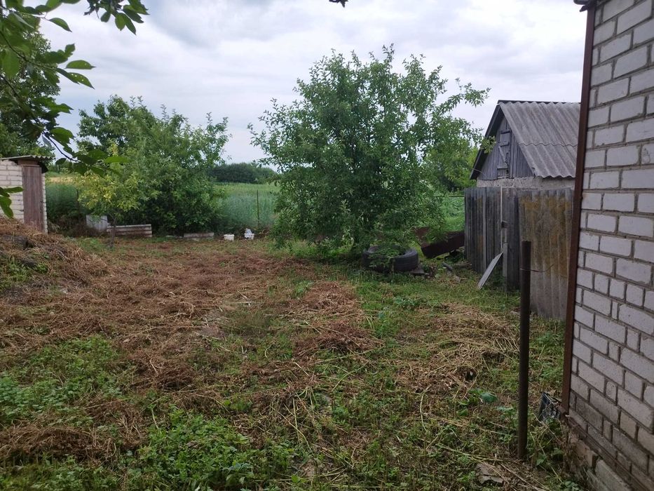 Будинок в силі в Харківській області