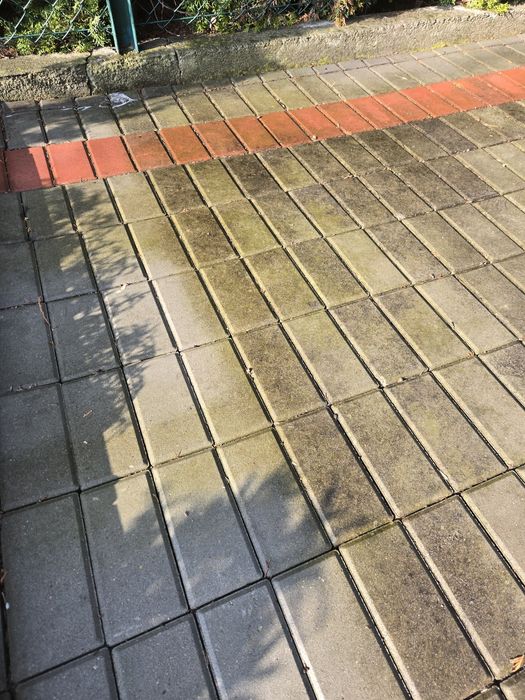 Usługi ogrodnicze