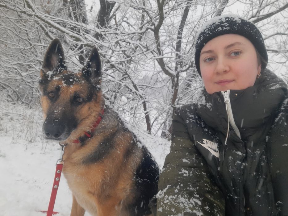 Дресирування собак