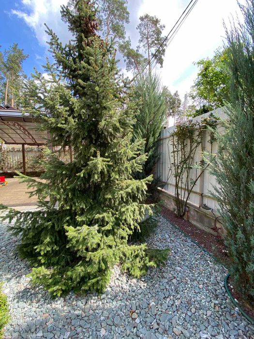 Продається сучасний, автономний  будинок м.Буча.Топова локація!