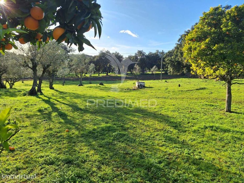 Country Estate in Vale de Cavalos