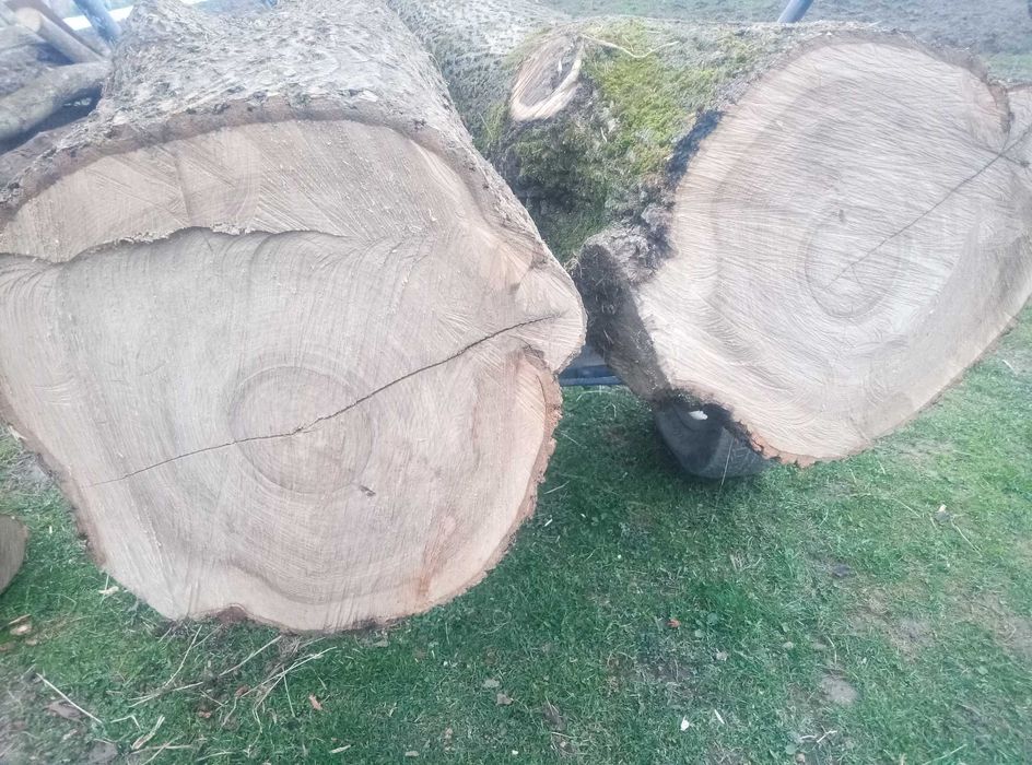 Kłody jesion sprzedam