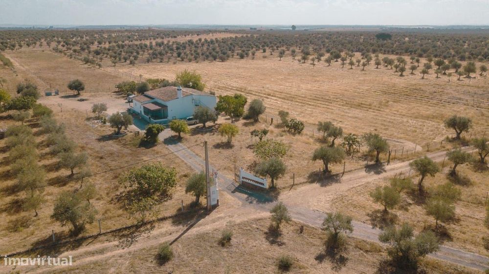 Monte Zorreiras em Mourão - Oportunidade Única no Coração do Alentejo