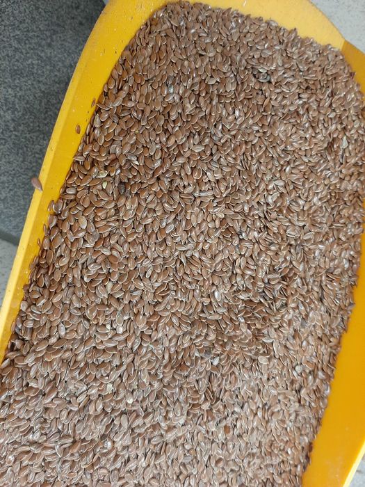 SIEMIĘ LNIANE len ziarno lnu NATURALNE czyste