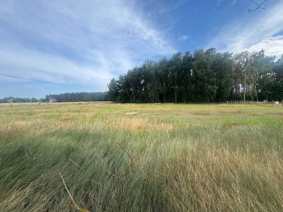 Wierzbiczany działka budowlana - Widok 4