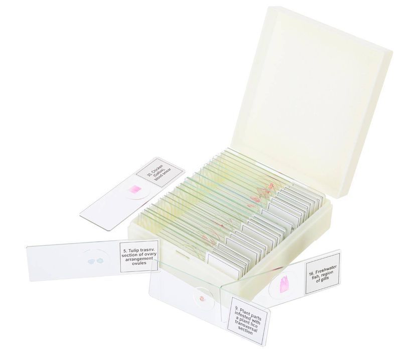 Discovery DPS 25 / Zestaw preparatów mikroskopowych