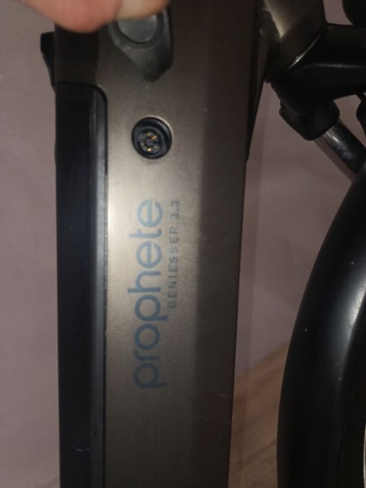 Електровелосипед Prophete Germany планетарна вт. 2024р