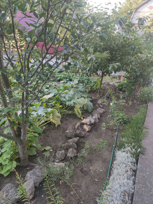 Продається дача в смт.Браїлів