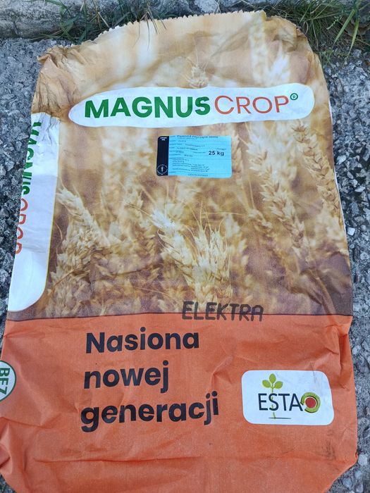 Pszenżyto Rotondo i Belcanto/Jęczmień ozimy Kosmos