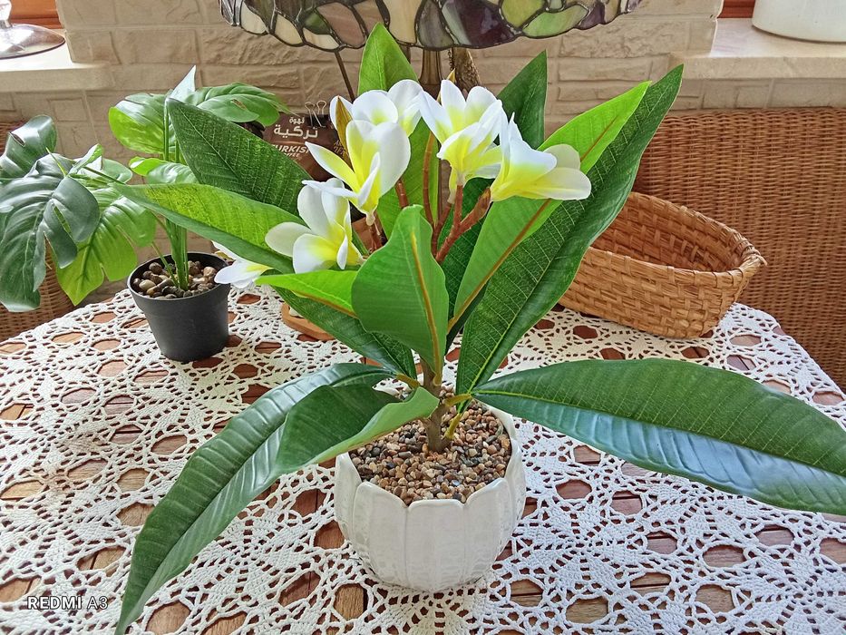 Hejka, IKEA, kwiat sztuczny w doniczce, maranta, bambus