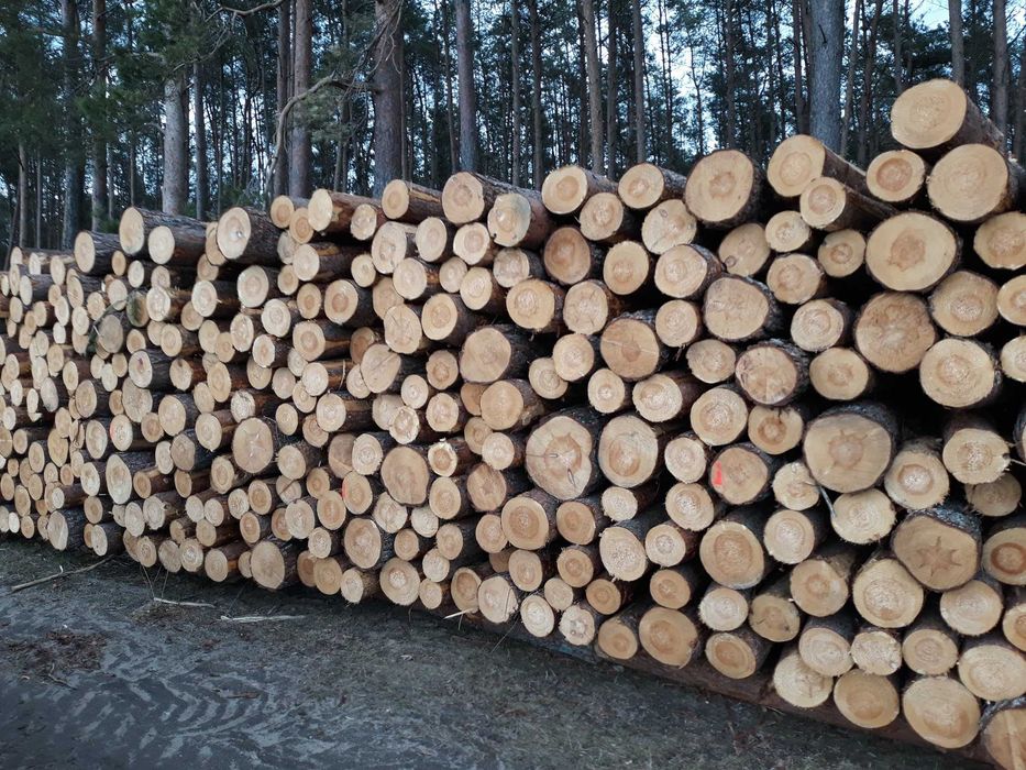 Papierówka paletowa So, Św,Kłoda WK, drewno Opał, Transport