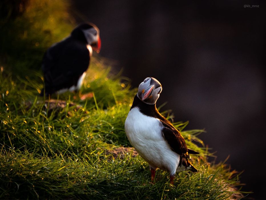 Obiektyw lumix 70-300 sprzedam f 4.5-5.6