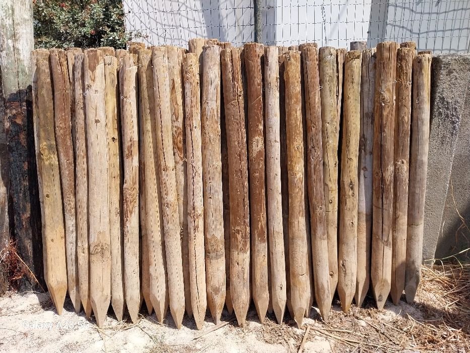 Paus usados de estufa e vinha