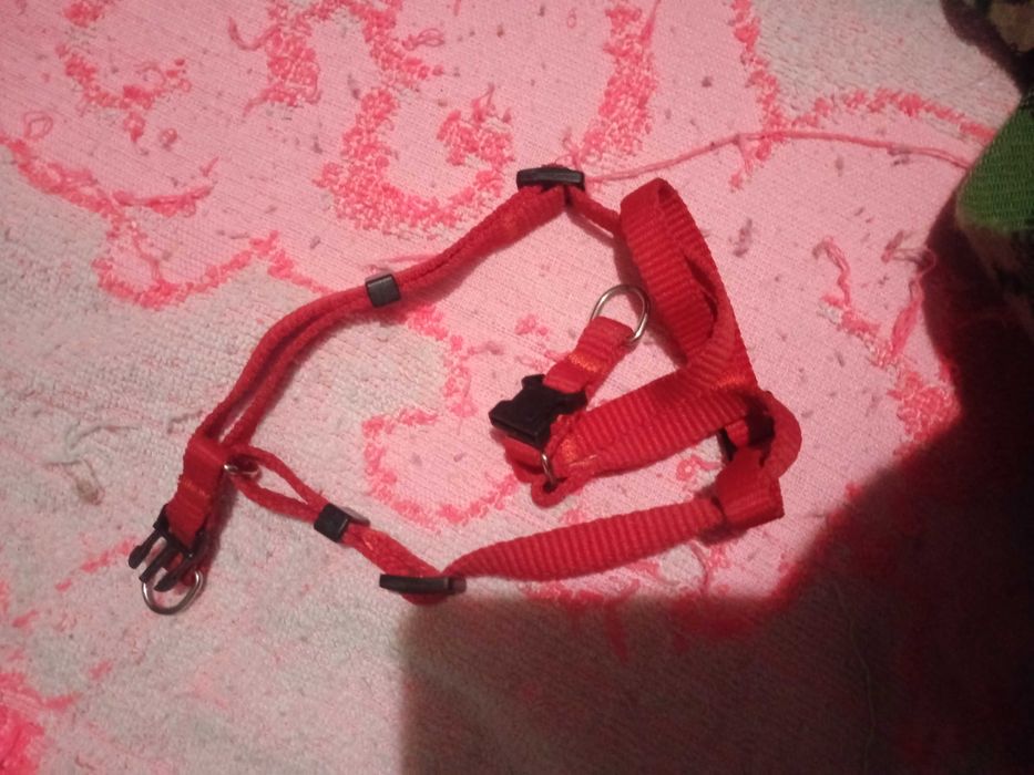 Уздечка с поводком