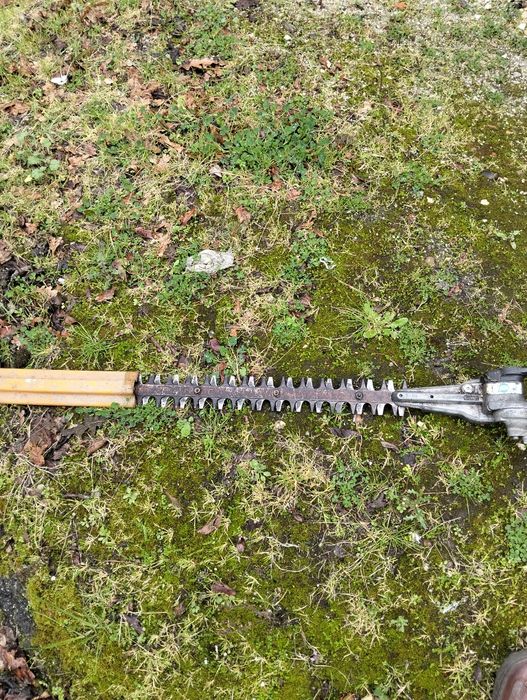 Vende-se corta cebes