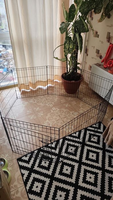 Вольєр манеж загін для собак, цуценят з дверима (60*61*8 секцій)