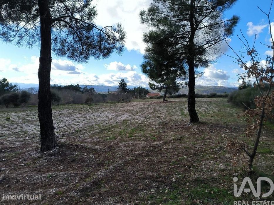 Quinta T5 em João Antão de 228,00 m2
