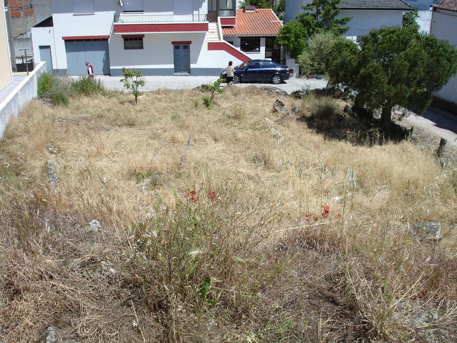 Terreno urbano p/ Moradia,  569 m2,  Mêda