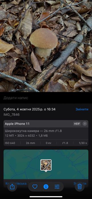 Продам Білі гриби | Зібрано 2025