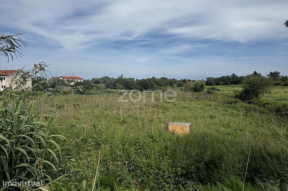 Terreno, Alhadas