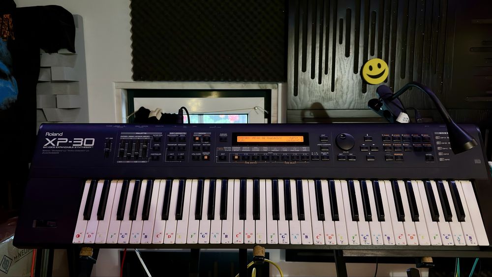 Roland  XP 30 Strymon Big Sky