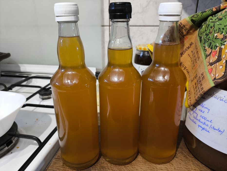 Ocet kombucha 1 litr