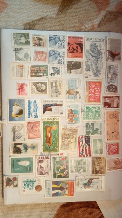 Маркидоговорная.