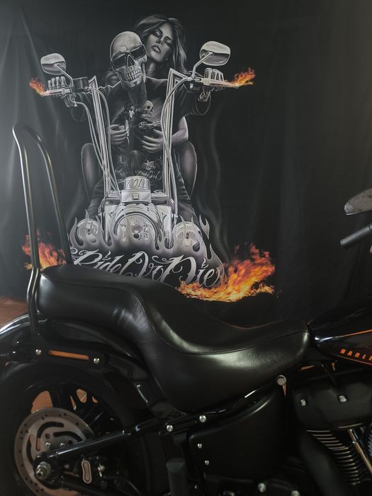 Harley-Davidson Street Bob 114 – 05/2024 – 3.850 km – Vance & Hines