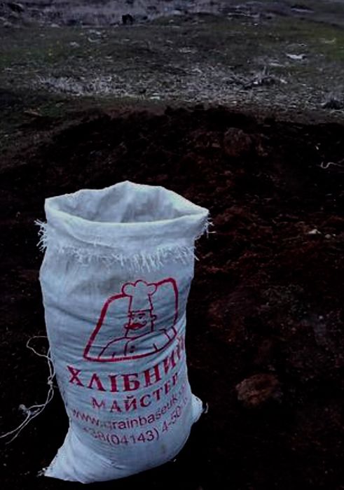 Продамо перегній, гній від биків