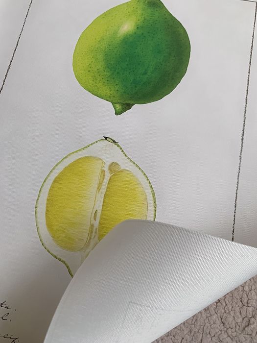 Gobelin na płótnie HD/Obrazek/Vintage Retro Fruit/Lime