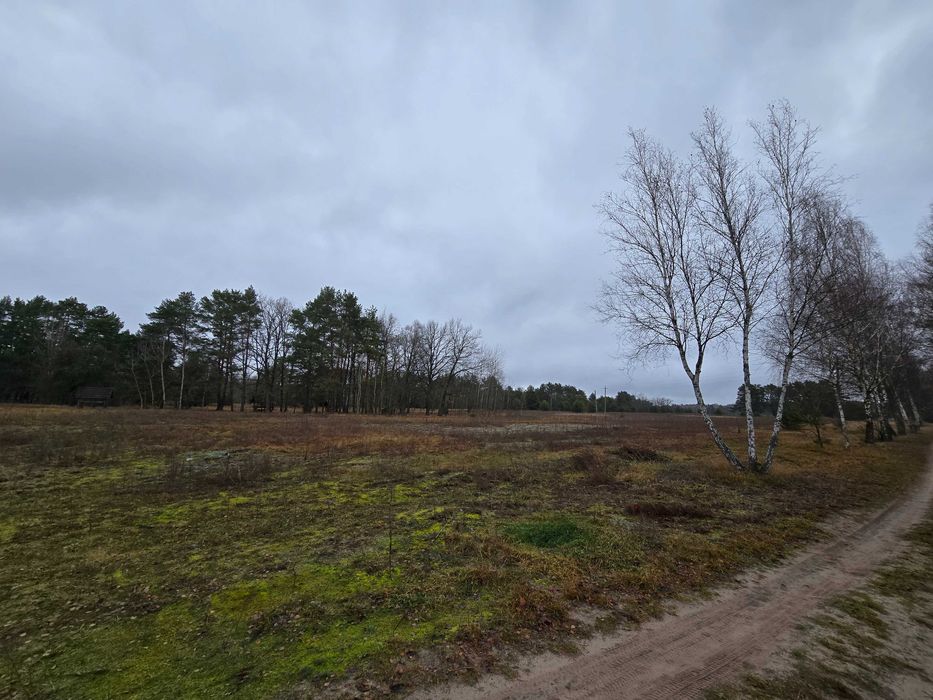 Земельна ділянка на озері Світязь