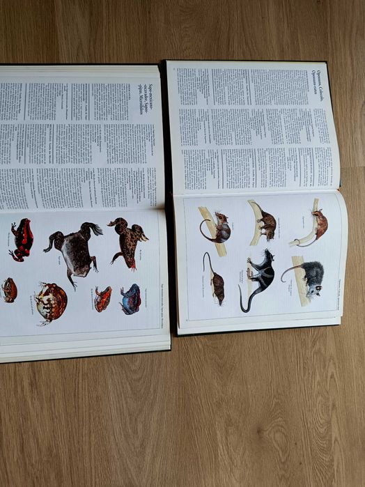 Moderna enciclopédia de animais