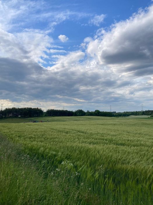 Dwie działki z warunkami zabudowy na 4 domy z garażami