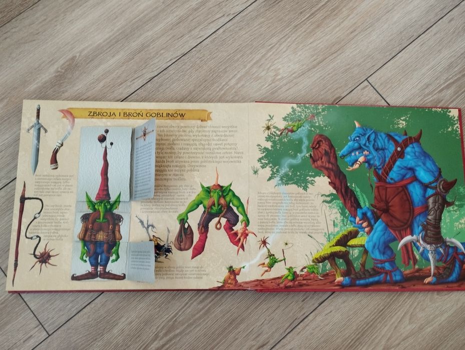 Książka Gobliny odległe królestwo