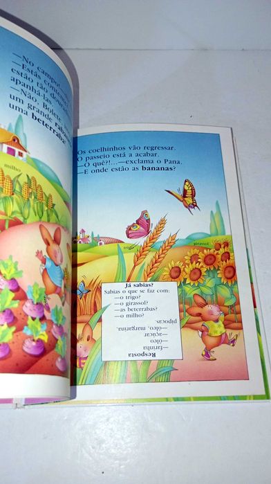 Os Coelhinhos...  descobrem a horta