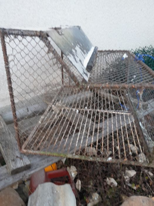 Akcesoria dla gołębi