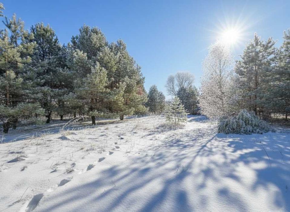 Продаж ділянки 39 соток біля озера
