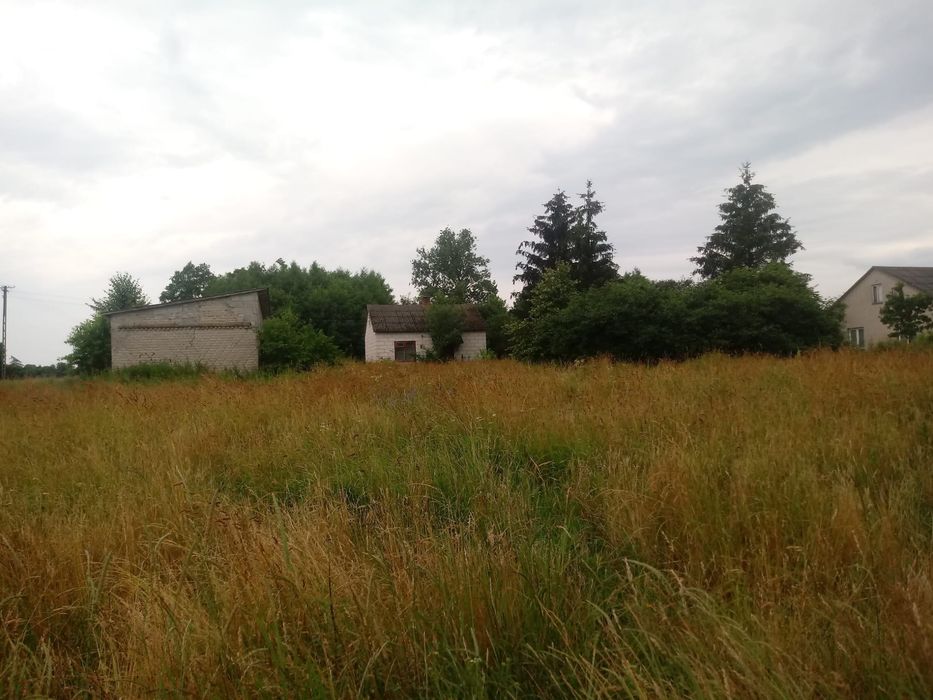 Zdjęcie 4