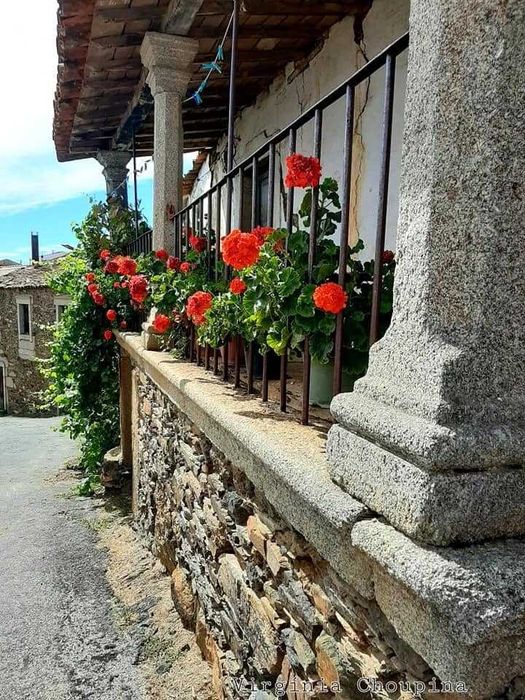 Casa Vivenda para reconstrução - Pinelo, Vimioso, Bragança