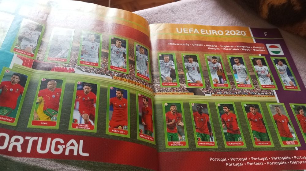 Euro 2020 tournment edition