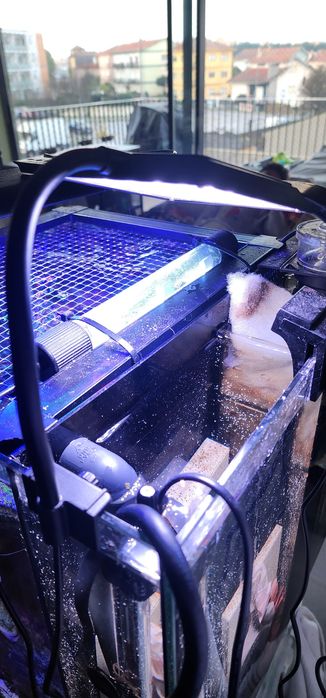 Luminária 20W  para refúgio, plantas, tartarugas ou outras finalidades