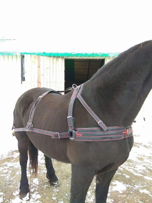 Упряж Виготовлення упряжі , посторонки вожжи віжки ліци шлея шорка .