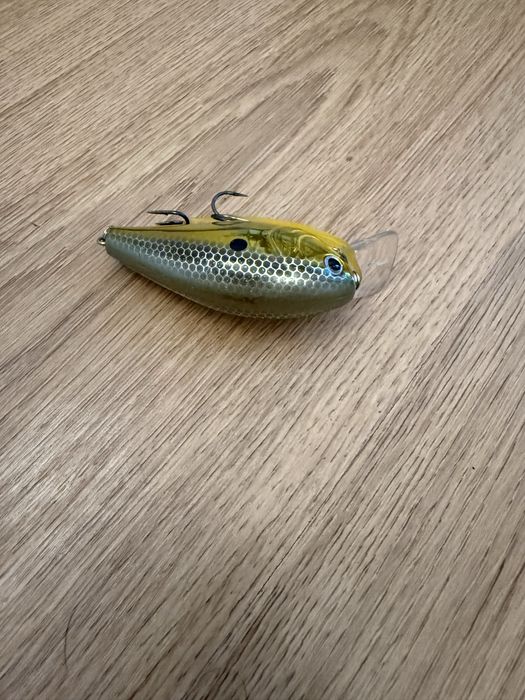 Amostra pesca nova