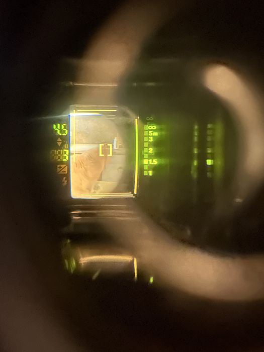 Fujifilm GA645ZI