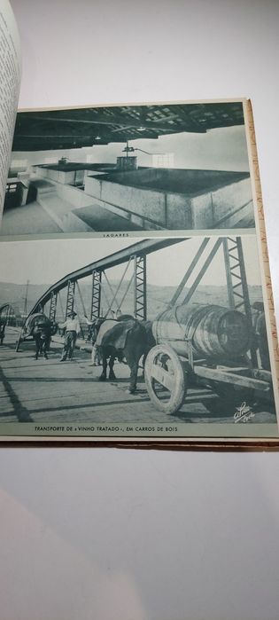 O Vinho do Porto - José Joaquim da Costa Lima (2ª edição, 1937)