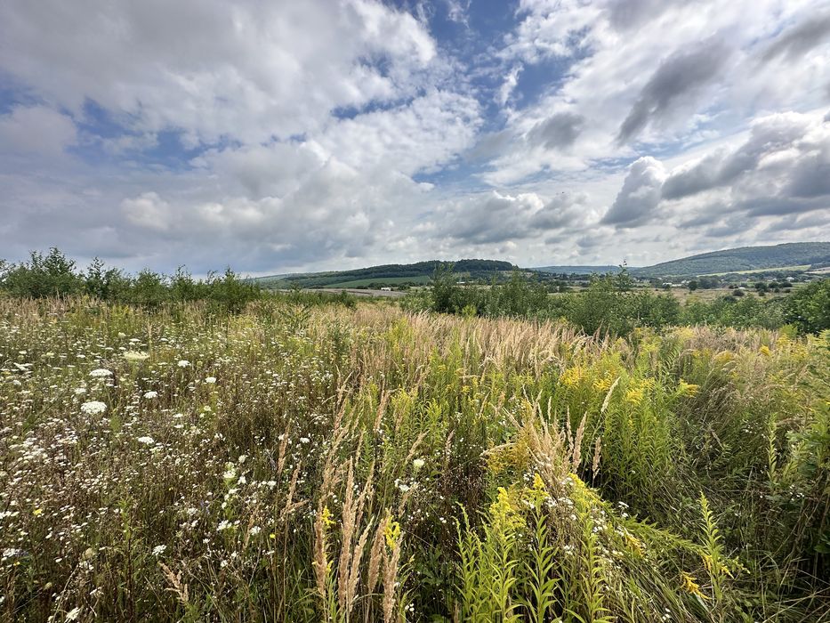 Продаж земельної ділянки біля Унівської лаври