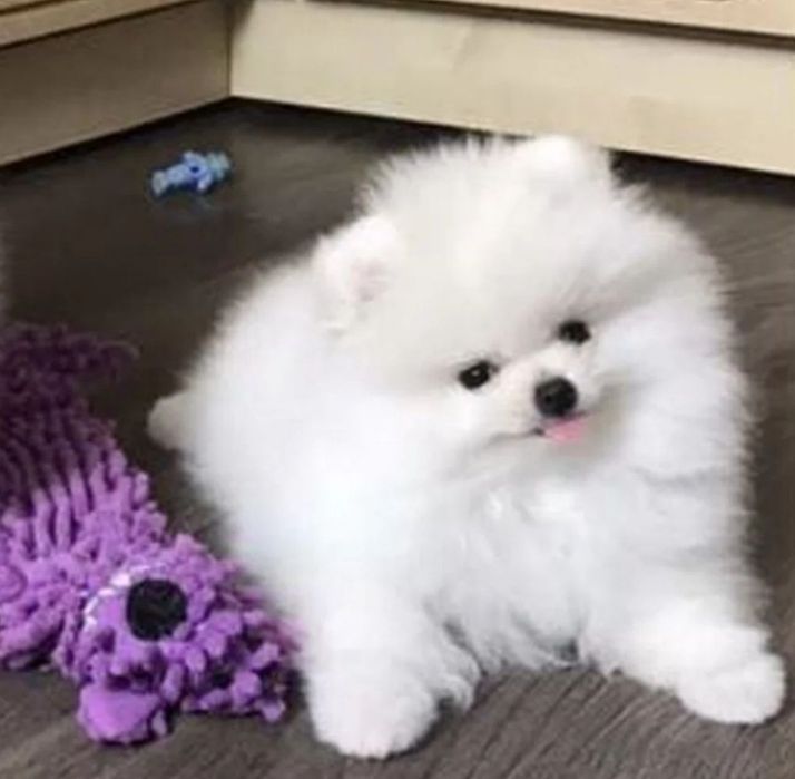 Чудесные мини крохи